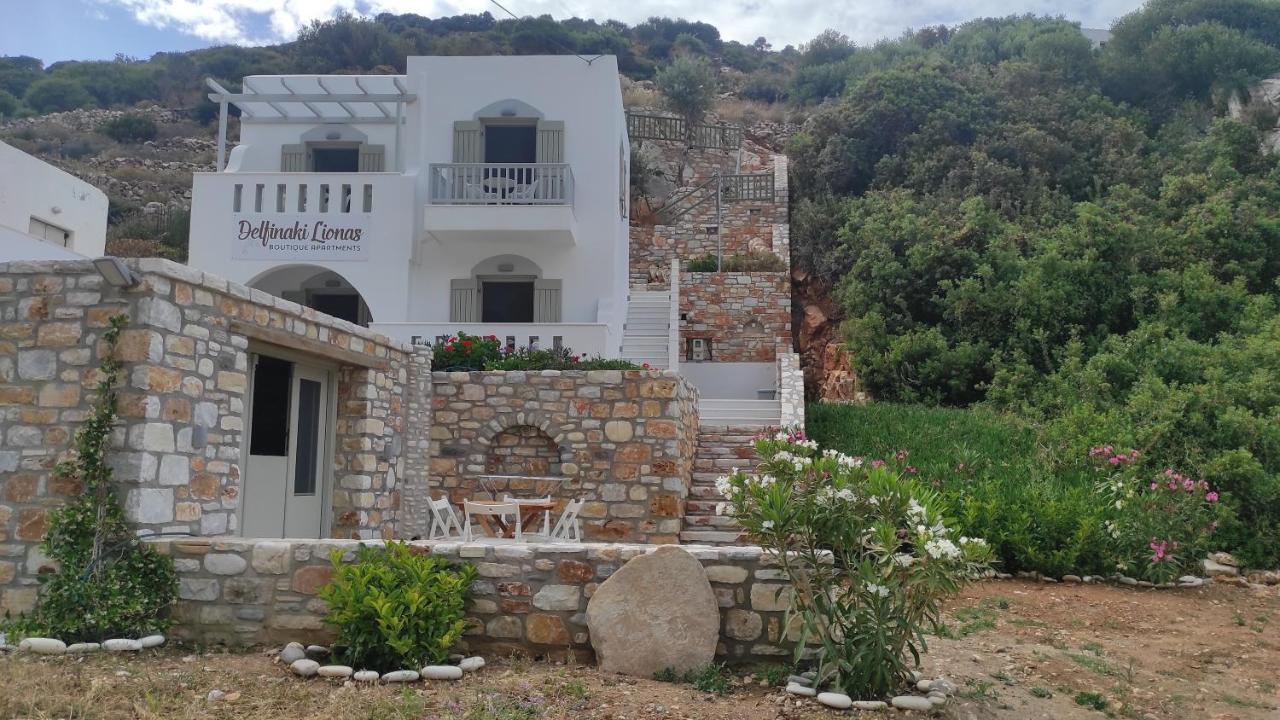 Villa Delfinaki Lionas Εξωτερικό φωτογραφία
